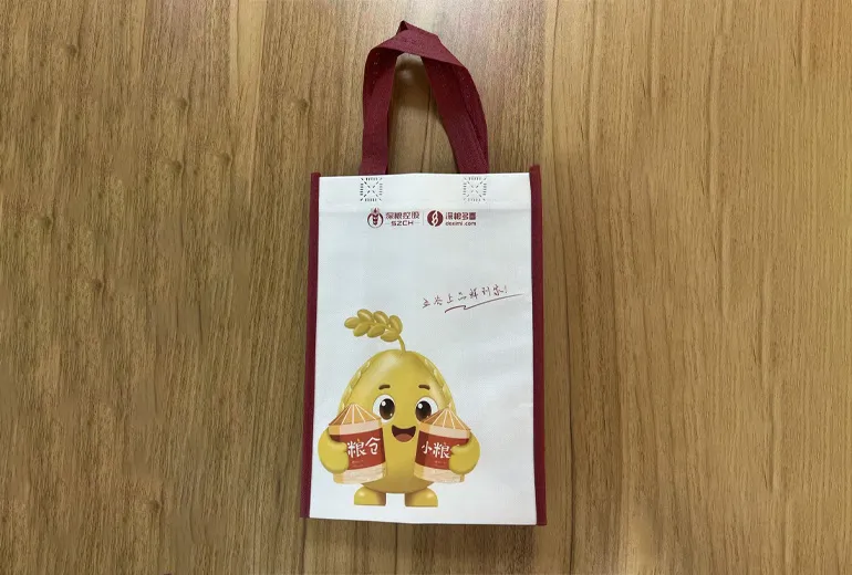 Gahumi cases 127-Custom Non-woven bag-02.webp